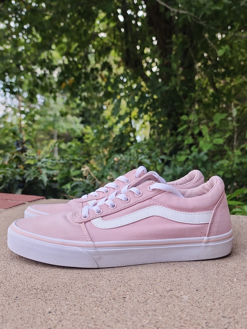 Vans Ward Low-Top Skate Shoe